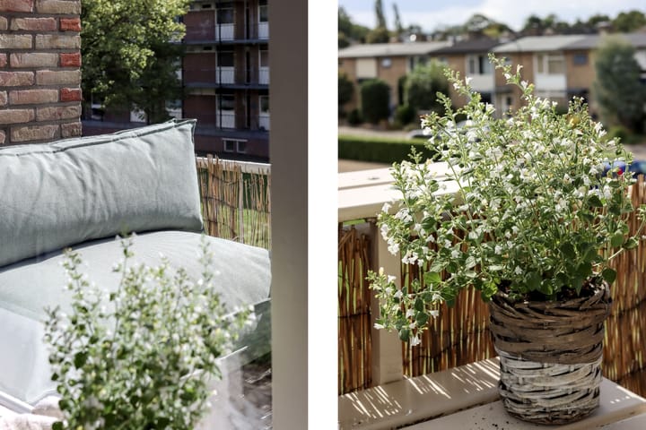 Foto 24 van Kobaltstraat 107