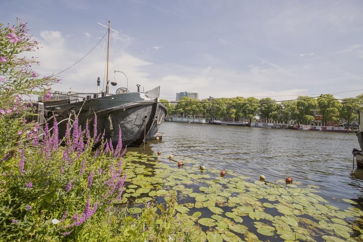 Bekijk foto 30 van Tweede Jan Steenstraat 100-2