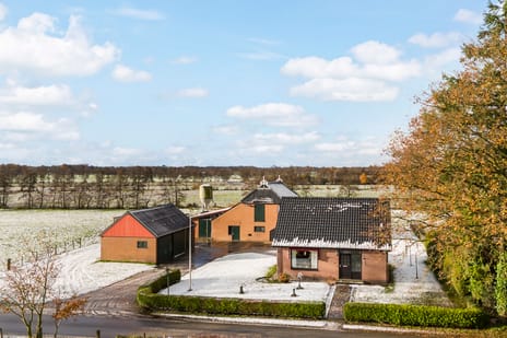 undefined main image