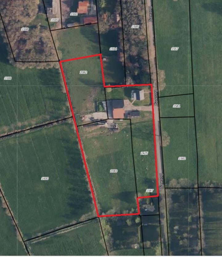 Photo 54 of Bosweg 2-A