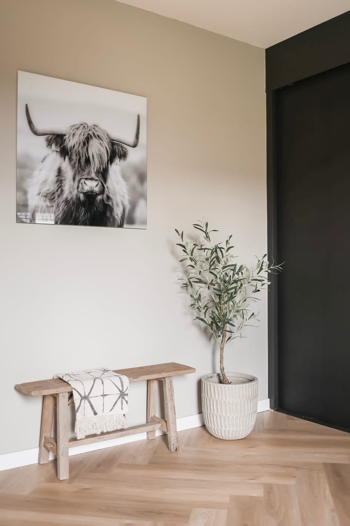 Photo 20 of Pieter Durksstrjitte 42-A