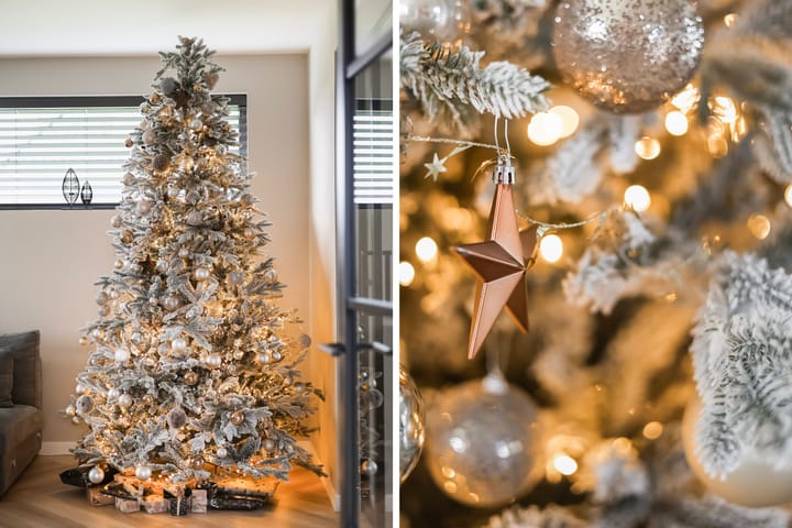 Photo 33 of Pieter Durksstrjitte 42-A