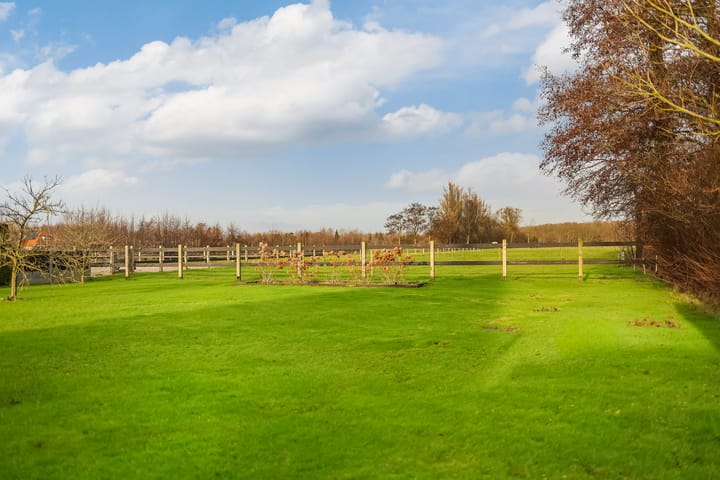 Photo 48 of Pieter Durksstrjitte 42-A