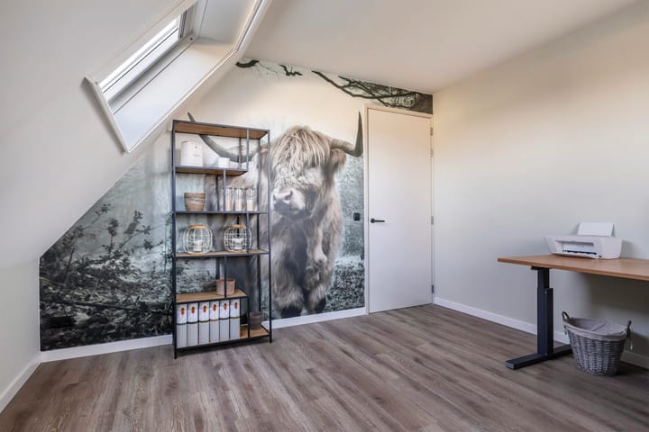 Photo 66 of Pieter Durksstrjitte 42-A