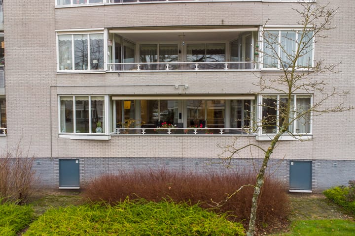 Foto 37 van Constantijnlaan 23