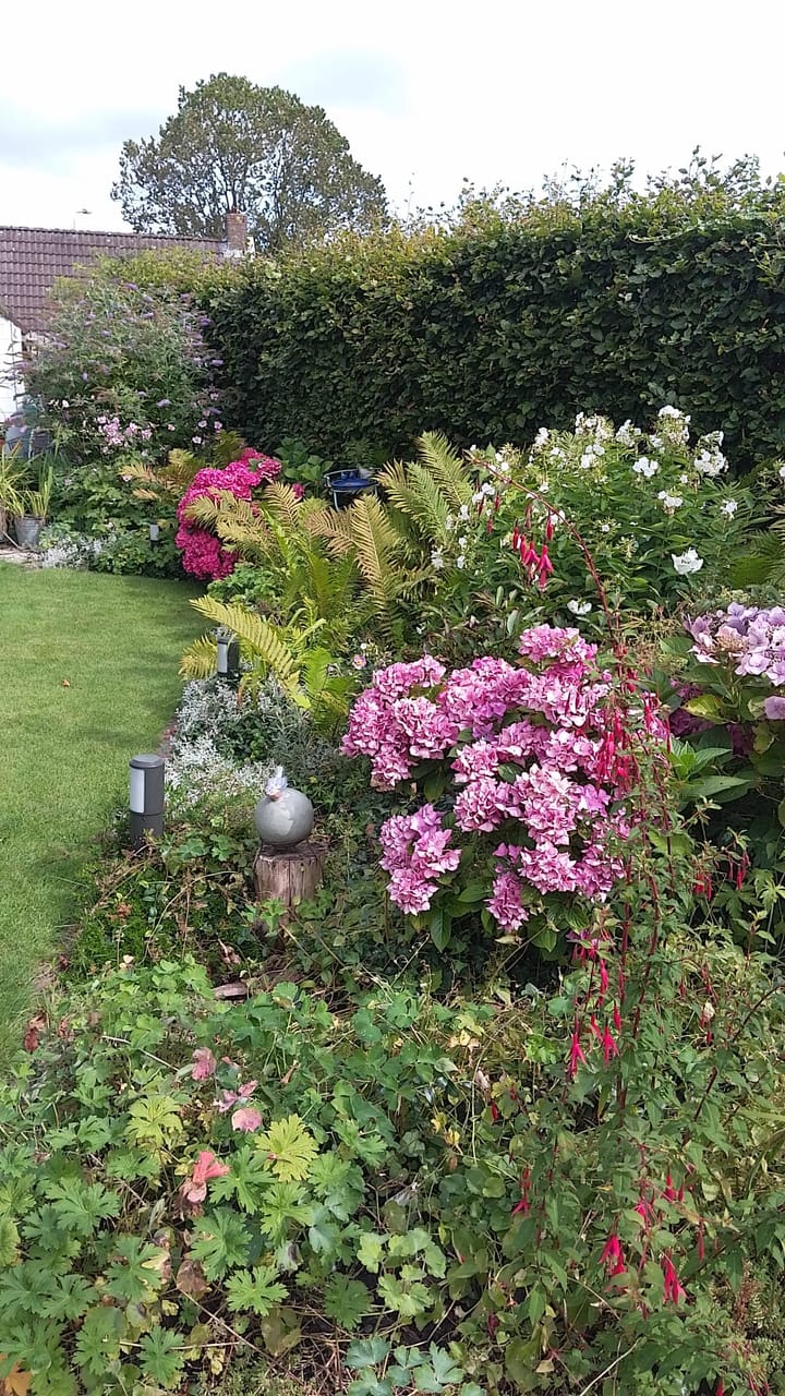 Foto 43 van Foarwei 61