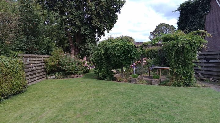 Foto 44 van Foarwei 61