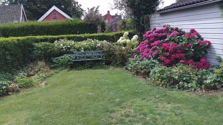 Foto 45 van Foarwei 61