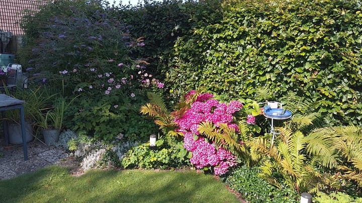 Foto 46 van Foarwei 61