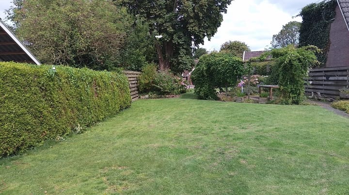 Foto 47 van Foarwei 61