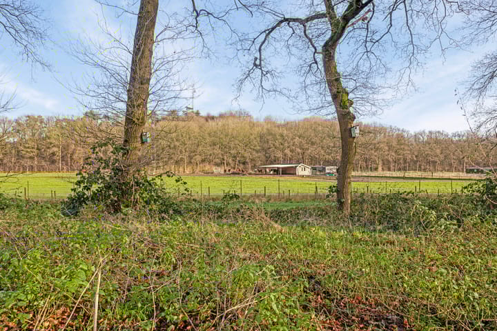 Foto 41 van Vredelaan 63