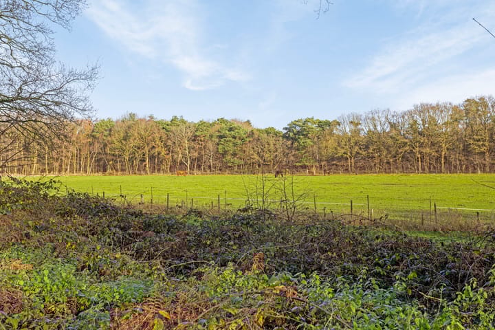 Foto 43 van Vredelaan 63