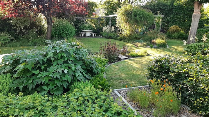 Foto 35 van Herfst 82