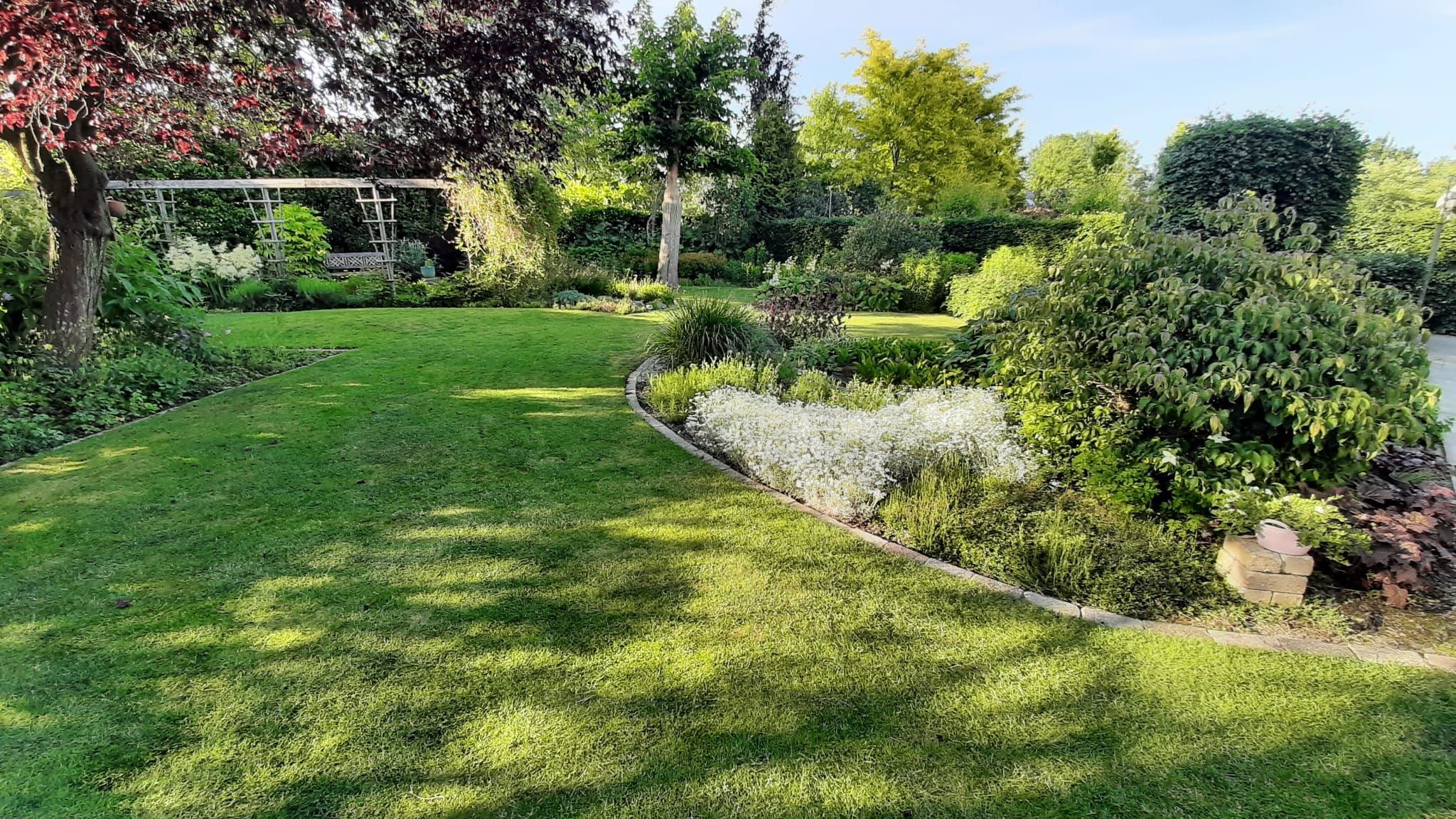 Foto 36 van Herfst 82