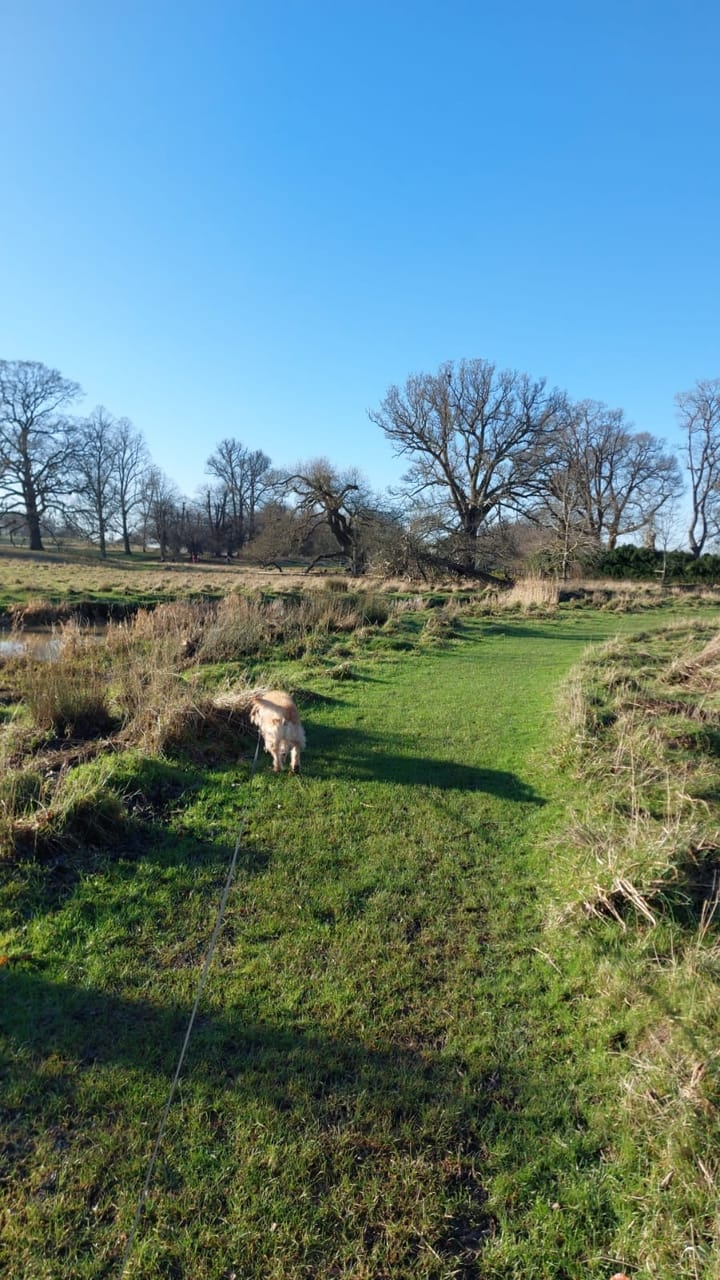 Foto 37 van Herfst 82