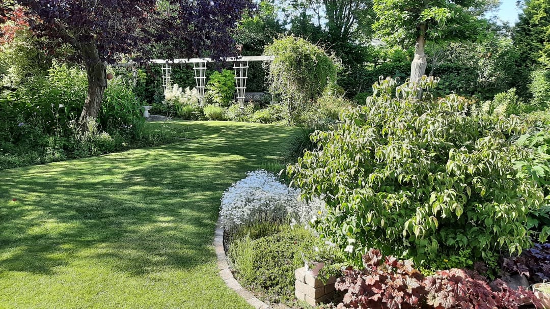 Foto 38 van Herfst 82