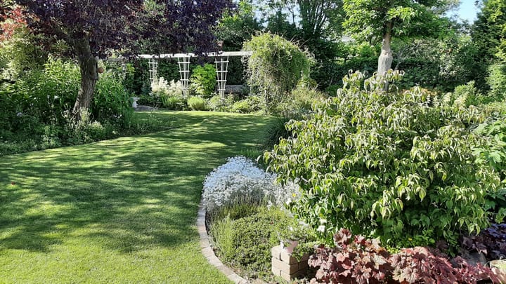 Foto 38 van Herfst 82