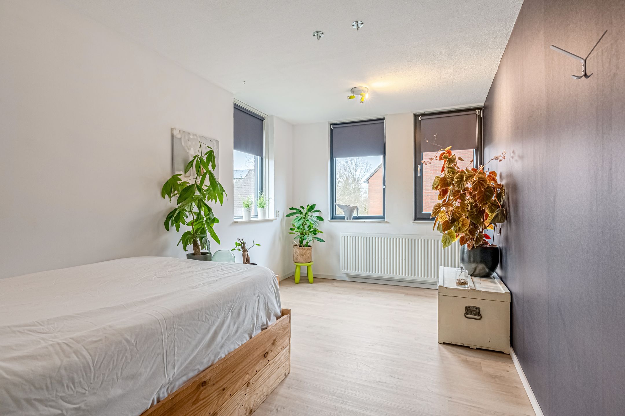 Foto 27 van Bottemaheerd 19