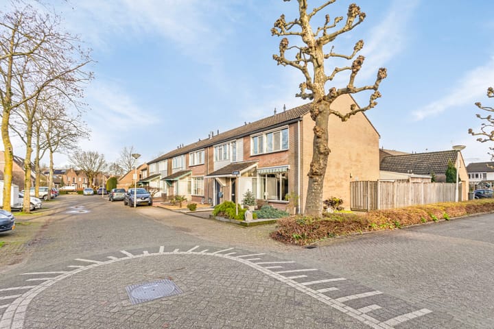 Foto 6 van de Kruibok 1