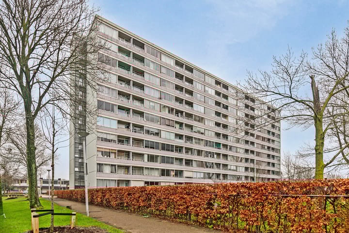 Foto 1 van Plein 1953 141