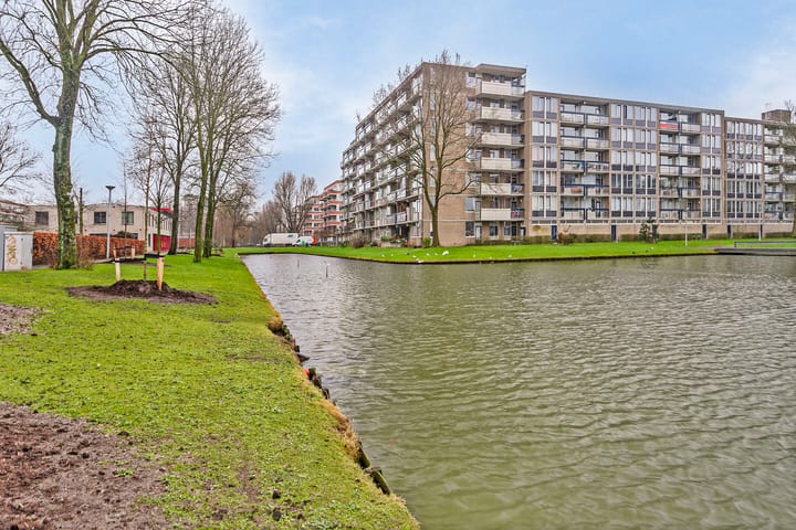 Foto 20 van Plein 1953 141