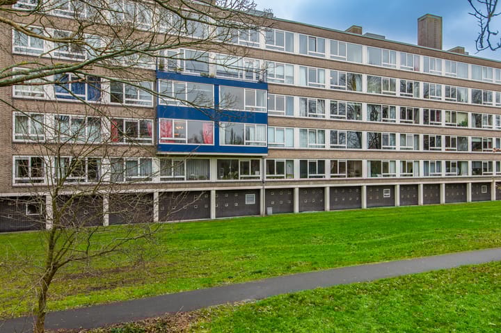 Photo 9 of Parelmoerhorst 328