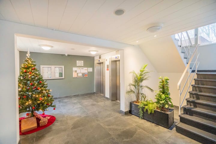 Foto 9 van Prins Willem-Alexanderpark 333