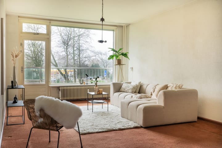 Foto 20 van Prins Willem-Alexanderpark 333