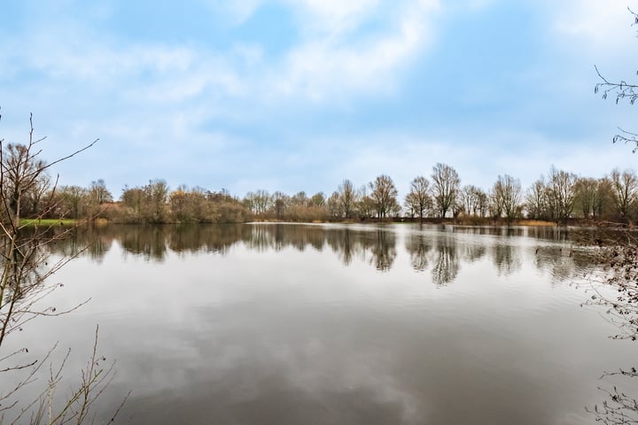 Bekijk foto 3 van Distelvlinderberm 44