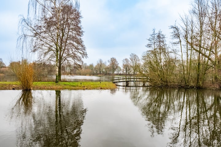 Bekijk foto 4 van Distelvlinderberm 44