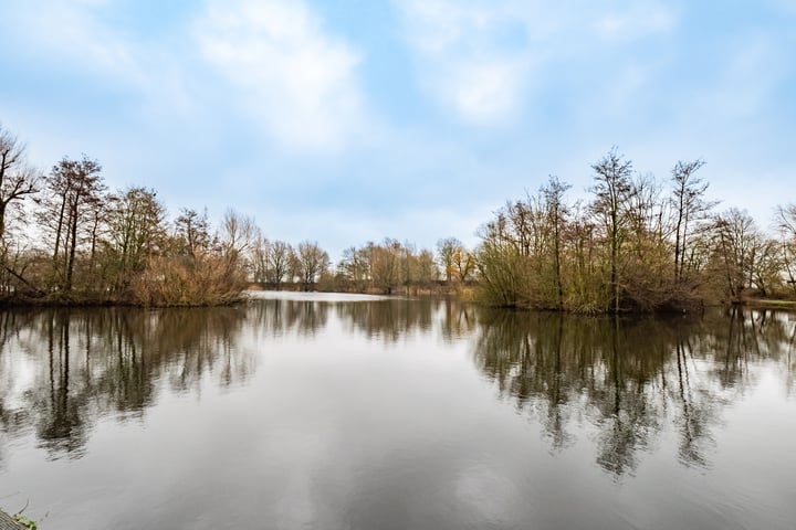 Bekijk foto 5 van Distelvlinderberm 44