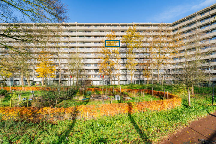 Foto 2 van Kleiburg 729