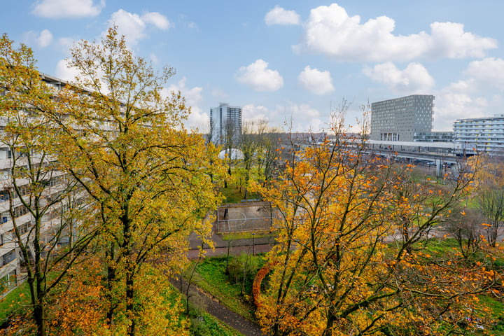 Bekijk foto 31 van Kleiburg 729