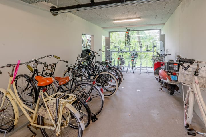 Foto 41 van Kleiburg 729