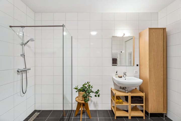 Foto 4 van Evenaar 317