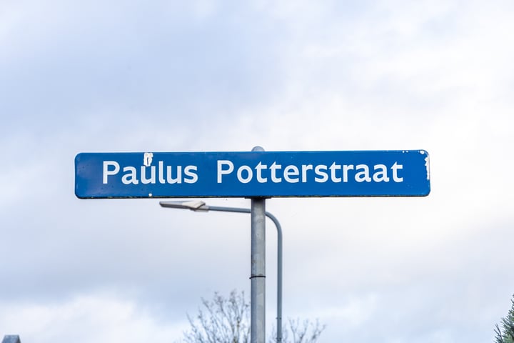 Bekijk foto 2 van Paulus Potterstraat 8