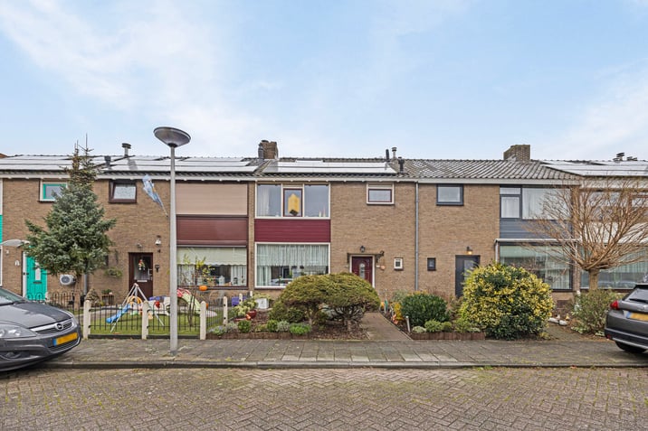 undefined main image