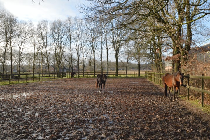 Bekijk foto 51 van Bakelseweg 41