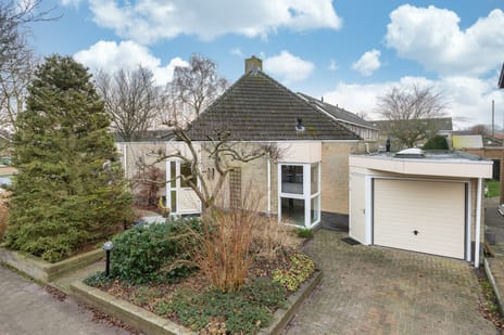 undefined main image