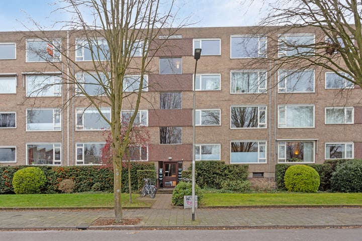 Bekijk foto 1 van Dingostraat 24