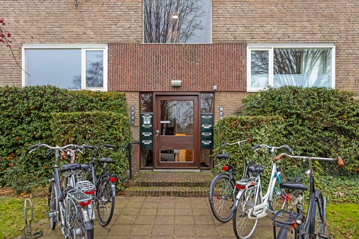 Foto 28 van Dingostraat 24