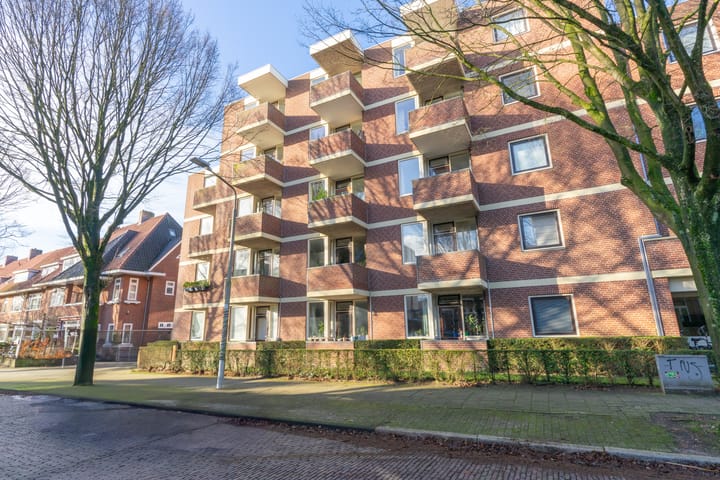 Foto 2 van Sumatraplein 44