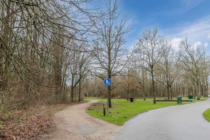 Foto 43 van Lauwers 19