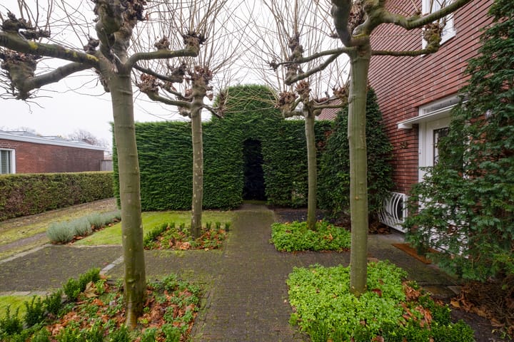 Foto 4 van Oldenzaalsestraat 352