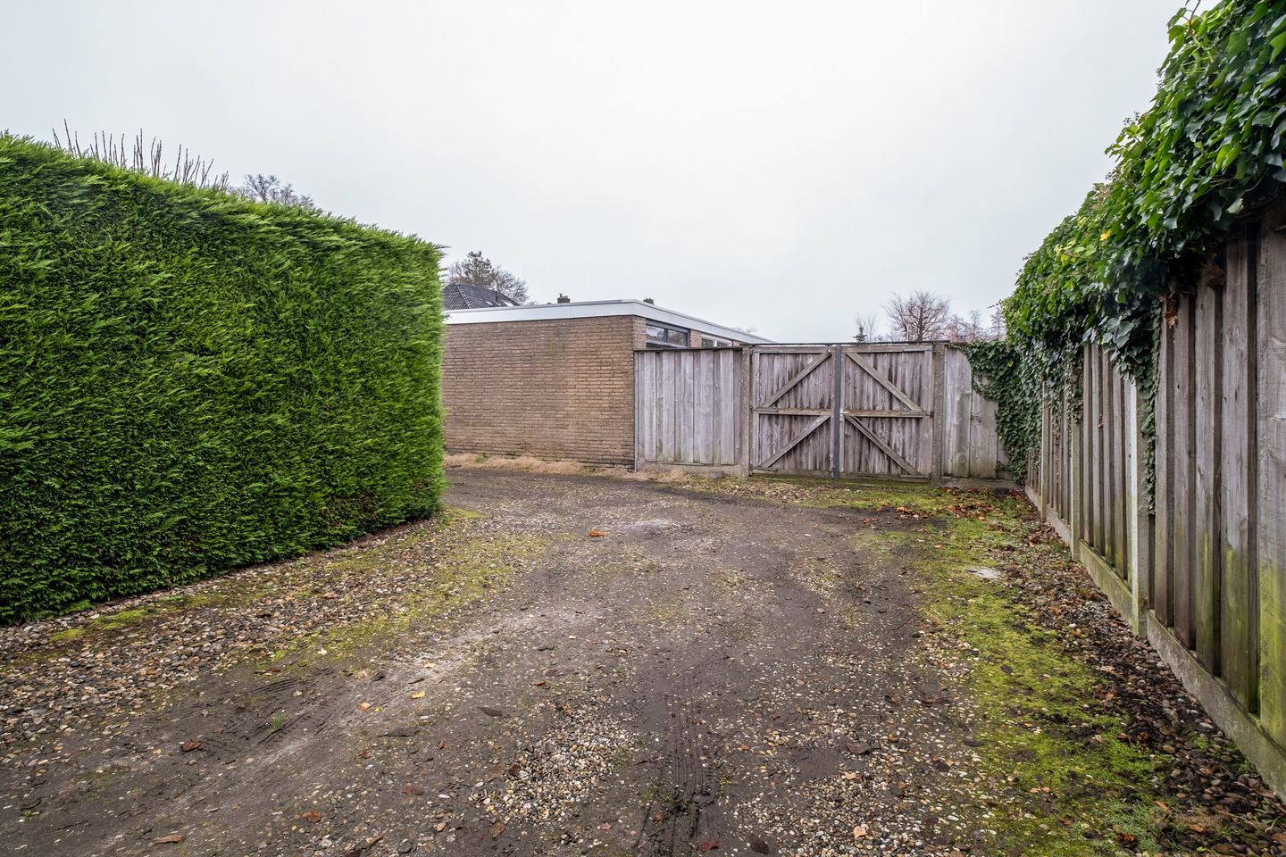 Foto 40 van Oldenzaalsestraat 352