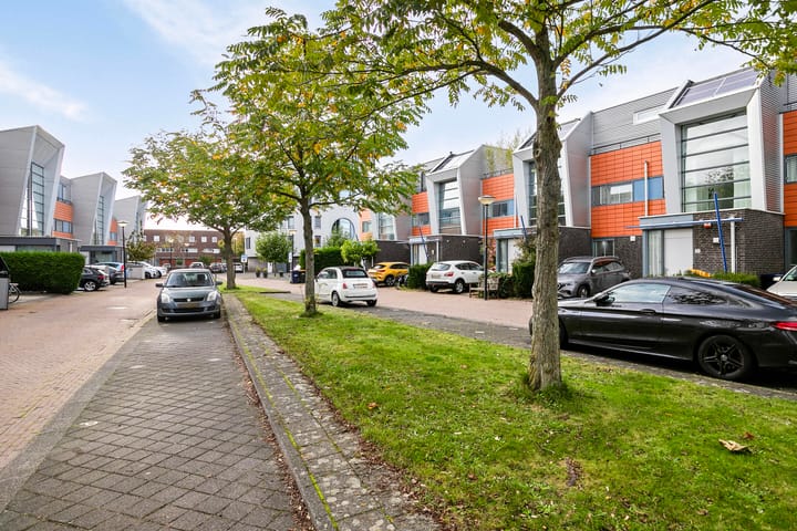 Foto 3 van Vuurland 31