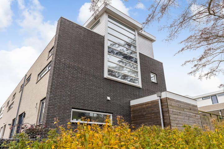 Foto 37 van Martinus Nijhoffhove 59