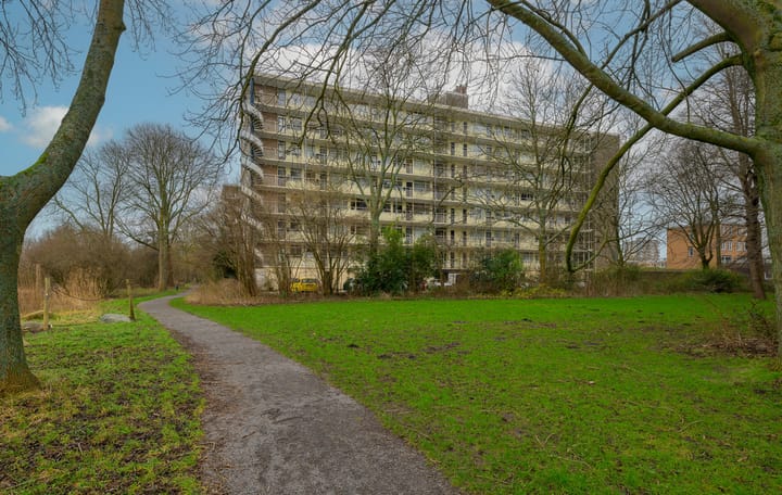 Foto 2 van Isabellaland 1526