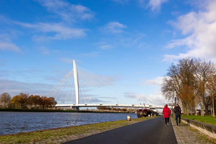 Bekijk foto 4 van Torreslaan 41