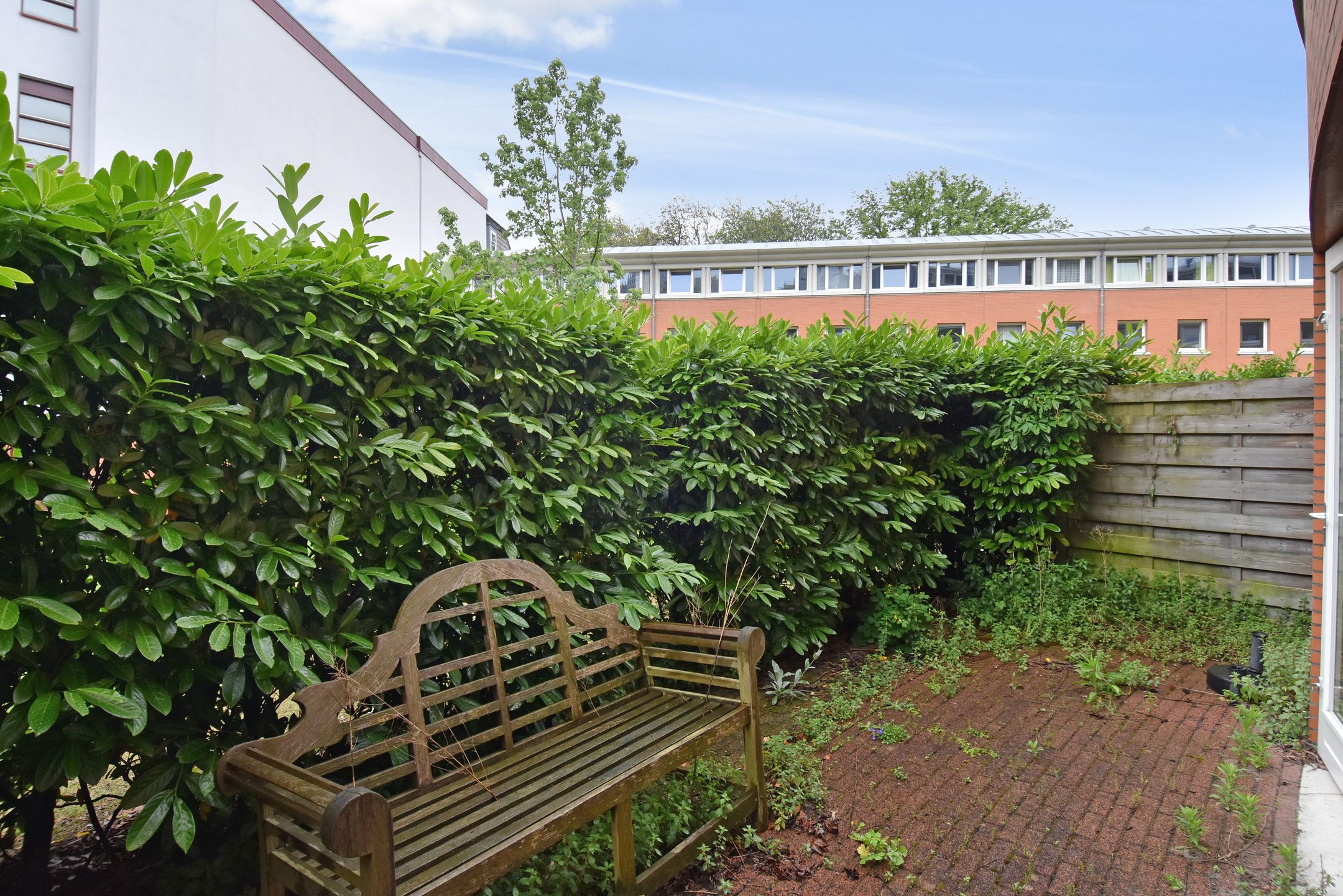 Photo 18 of Bocht van Guinea 11